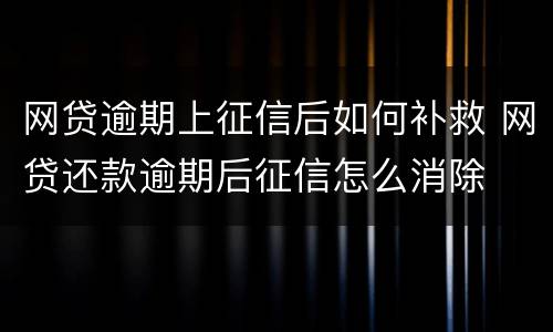 网贷逾期上征信后如何补救 网贷还款逾期后征信怎么消除