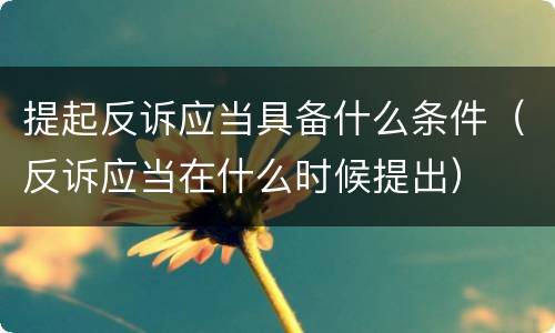 提起反诉应当具备什么条件（反诉应当在什么时候提出）