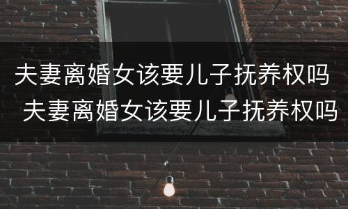 夫妻离婚女该要儿子抚养权吗 夫妻离婚女该要儿子抚养权吗