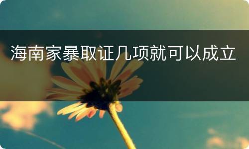 海南家暴取证几项就可以成立