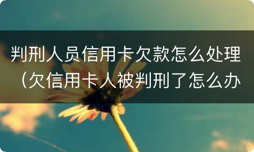 判刑人员信用卡欠款怎么处理（欠信用卡人被判刑了怎么办）