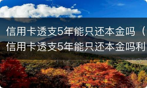 信用卡透支5年能只还本金吗（信用卡透支5年能只还本金吗利息多少）