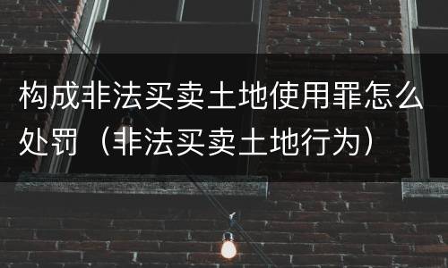构成非法买卖土地使用罪怎么处罚（非法买卖土地行为）