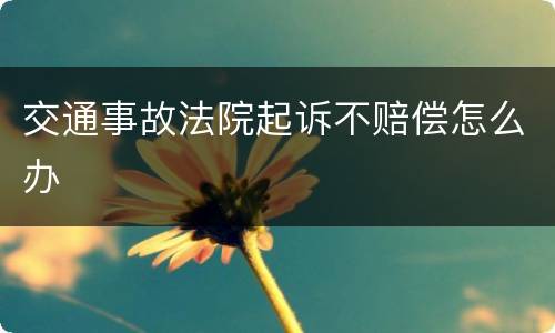 交通事故法院起诉不赔偿怎么办