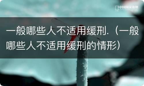 一般哪些人不适用缓刑.（一般哪些人不适用缓刑的情形）