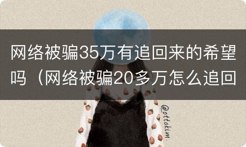 网络被骗35万有追回来的希望吗（网络被骗20多万怎么追回）