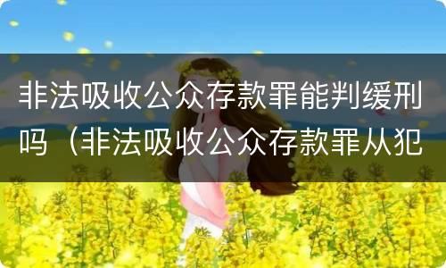非法吸收公众存款罪能判缓刑吗（非法吸收公众存款罪从犯都能判缓吗）