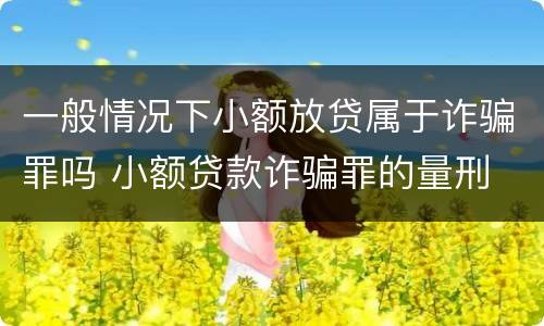 一般情况下小额放贷属于诈骗罪吗 小额贷款诈骗罪的量刑