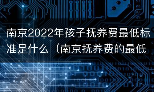 南京2022年孩子抚养费最低标准是什么（南京抚养费的最低标准是多少）