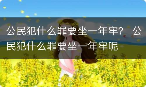 公民犯什么罪要坐一年牢？ 公民犯什么罪要坐一年牢呢