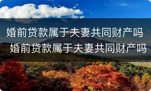 婚前贷款属于夫妻共同财产吗 婚前贷款属于夫妻共同财产吗怎么算