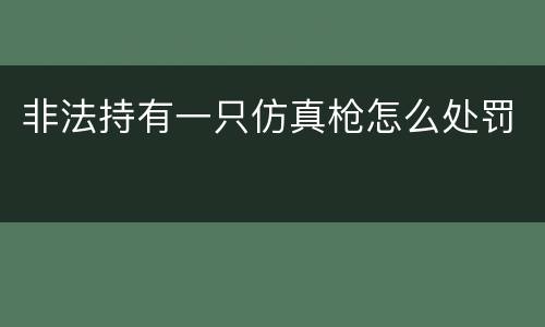 非法持有一只仿真枪怎么处罚