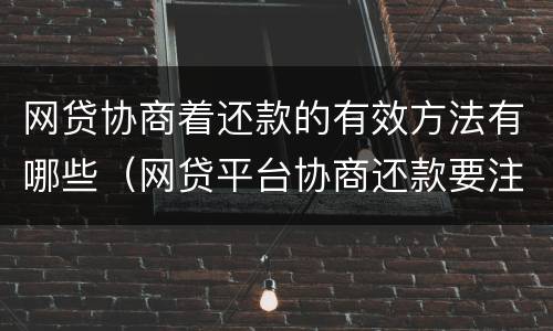 网贷协商着还款的有效方法有哪些（网贷平台协商还款要注意什么）
