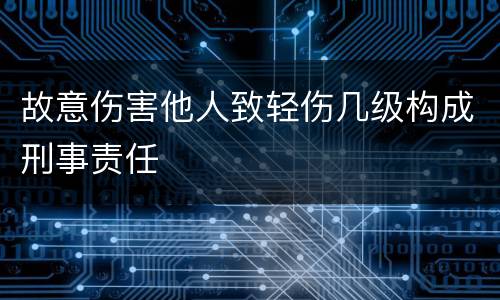 故意伤害他人致轻伤几级构成刑事责任
