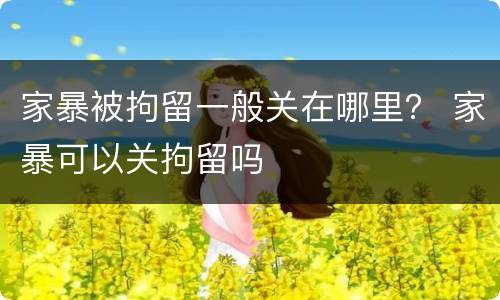 家暴被拘留一般关在哪里？ 家暴可以关拘留吗