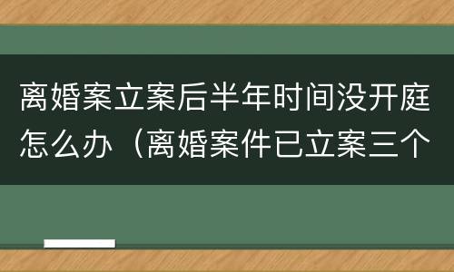 离婚案立案后半年时间没开庭怎么办（离婚案件已立案三个月了,还没开庭如何处理）