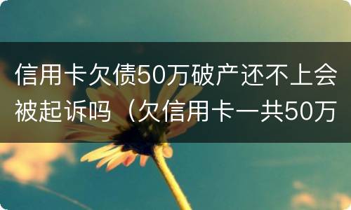 信用卡欠债50万破产还不上会被起诉吗（欠信用卡一共50万实在还不上）