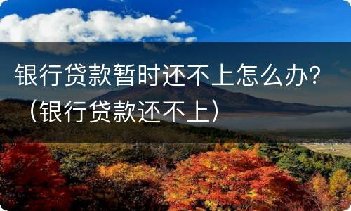 银行贷款暂时还不上怎么办？（银行贷款还不上）