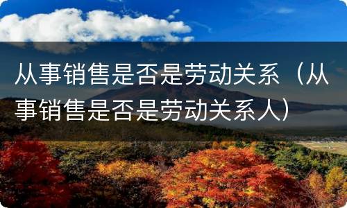 从事销售是否是劳动关系（从事销售是否是劳动关系人）
