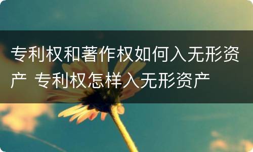 专利权和著作权如何入无形资产 专利权怎样入无形资产