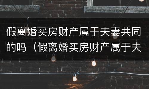 假离婚买房财产属于夫妻共同的吗（假离婚买房财产属于夫妻共同的吗知乎）