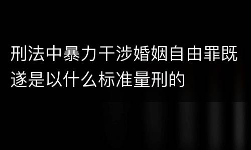 刑法中暴力干涉婚姻自由罪既遂是以什么标准量刑的