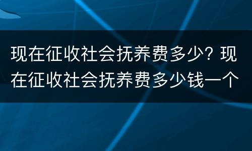 现在征收社会抚养费多少? 现在征收社会抚养费多少钱一个月