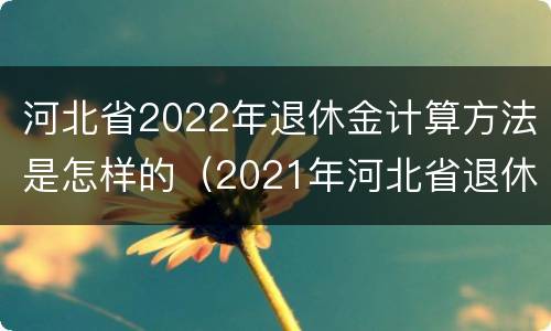 河北省2022年退休金计算方法是怎样的（2021年河北省退休金计算方法）
