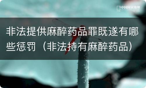 非法提供麻醉药品罪既遂有哪些惩罚（非法持有麻醉药品）