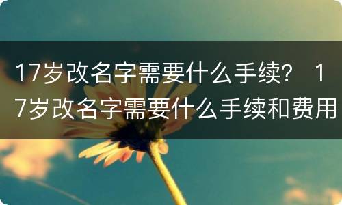 17岁改名字需要什么手续？ 17岁改名字需要什么手续和费用