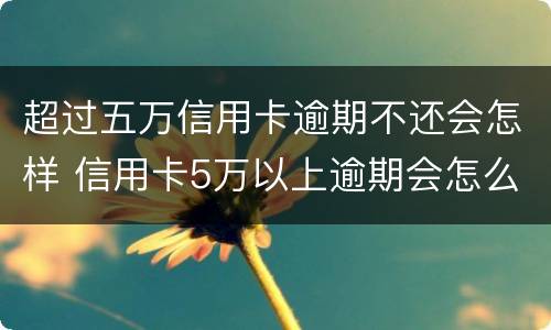 超过五万信用卡逾期不还会怎样 信用卡5万以上逾期会怎么样