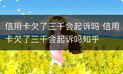 信用卡欠了三千会起诉吗 信用卡欠了三千会起诉吗知乎