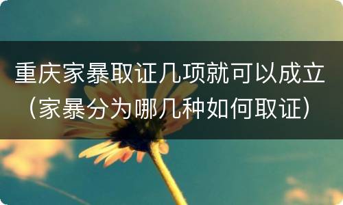 重庆家暴取证几项就可以成立（家暴分为哪几种如何取证）
