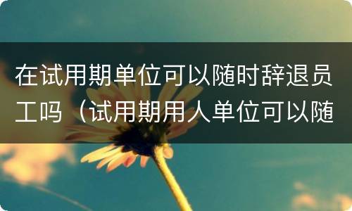 在试用期单位可以随时辞退员工吗（试用期用人单位可以随时辞退员工吗）