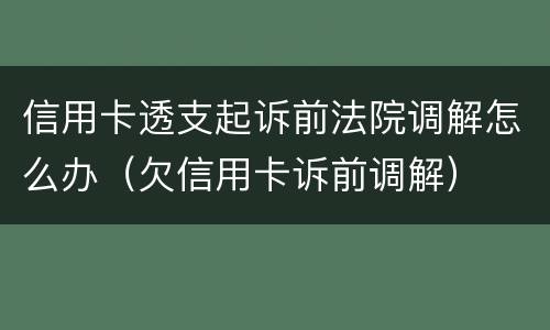 信用卡透支起诉前法院调解怎么办（欠信用卡诉前调解）