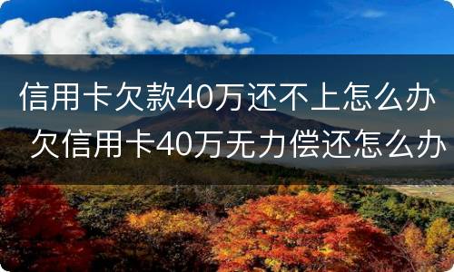 信用卡欠款40万还不上怎么办 欠信用卡40万无力偿还怎么办