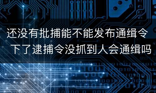 还没有批捕能不能发布通缉令 下了逮捕令没抓到人会通缉吗