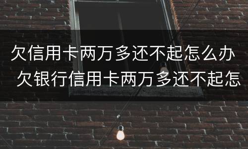 欠信用卡两万多还不起怎么办 欠银行信用卡两万多还不起怎么办