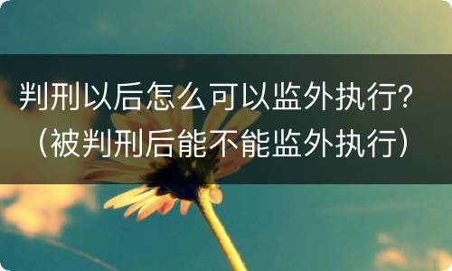 判刑以后怎么可以监外执行？（被判刑后能不能监外执行）
