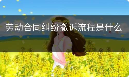 劳动合同纠纷撤诉流程是什么