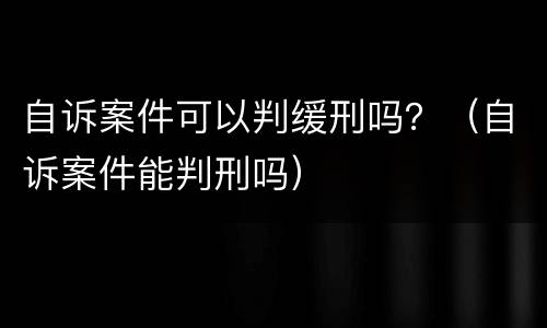 自诉案件可以判缓刑吗？（自诉案件能判刑吗）