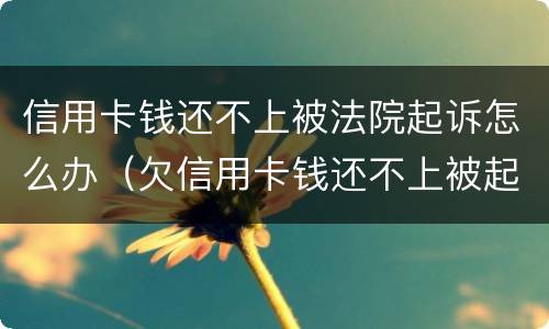 信用卡钱还不上被法院起诉怎么办（欠信用卡钱还不上被起诉了怎么办）