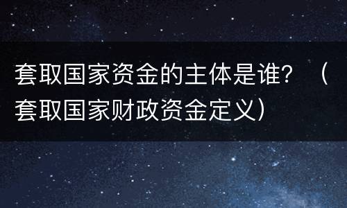 套取国家资金的主体是谁？（套取国家财政资金定义）