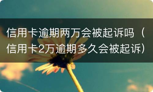 信用卡逾期两万会被起诉吗（信用卡2万逾期多久会被起诉）