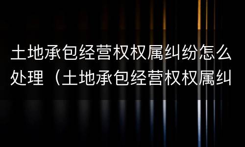 土地承包经营权权属纠纷怎么处理（土地承包经营权权属纠纷怎么处理的）