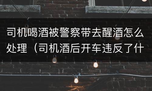 司机喝酒被警察带去醒酒怎么处理（司机酒后开车违反了什么法律）