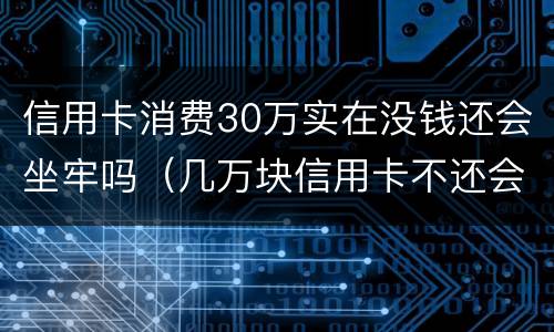信用卡消费30万实在没钱还会坐牢吗（几万块信用卡不还会坐牢吗）