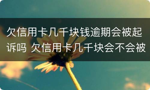 欠信用卡几千块钱逾期会被起诉吗 欠信用卡几千块会不会被起诉