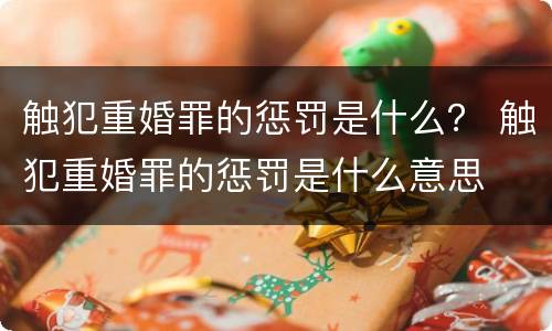 触犯重婚罪的惩罚是什么？ 触犯重婚罪的惩罚是什么意思