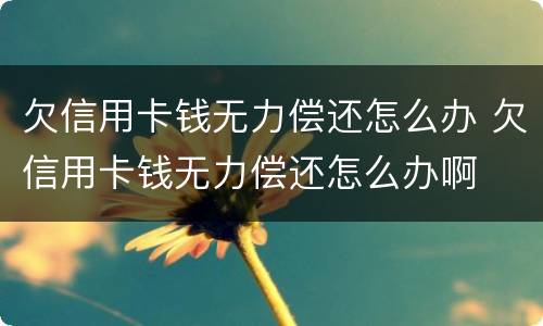 欠信用卡钱无力偿还怎么办 欠信用卡钱无力偿还怎么办啊